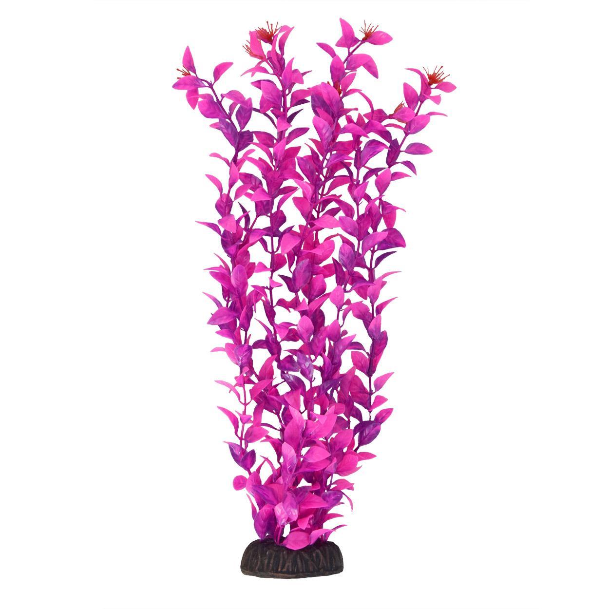 UT Ludwigia Pink 16"