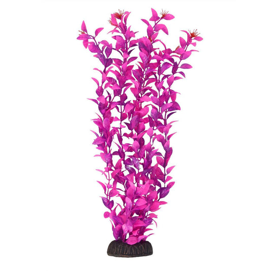 UT Ludwigia Pink 16"