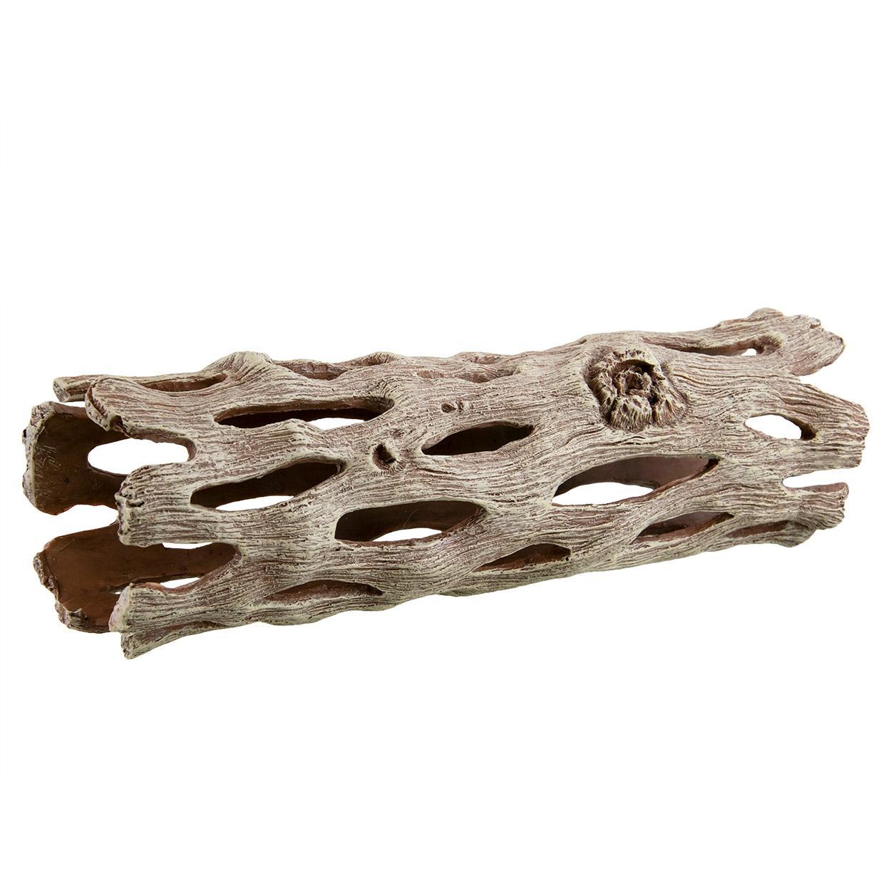 UT Cholla Wood Large