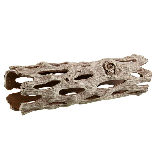 UT Cholla Wood Large