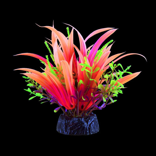 UT Glo Japonica Pink Small