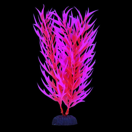 UT Glow Bamboo Pink