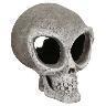 Alien Skull S