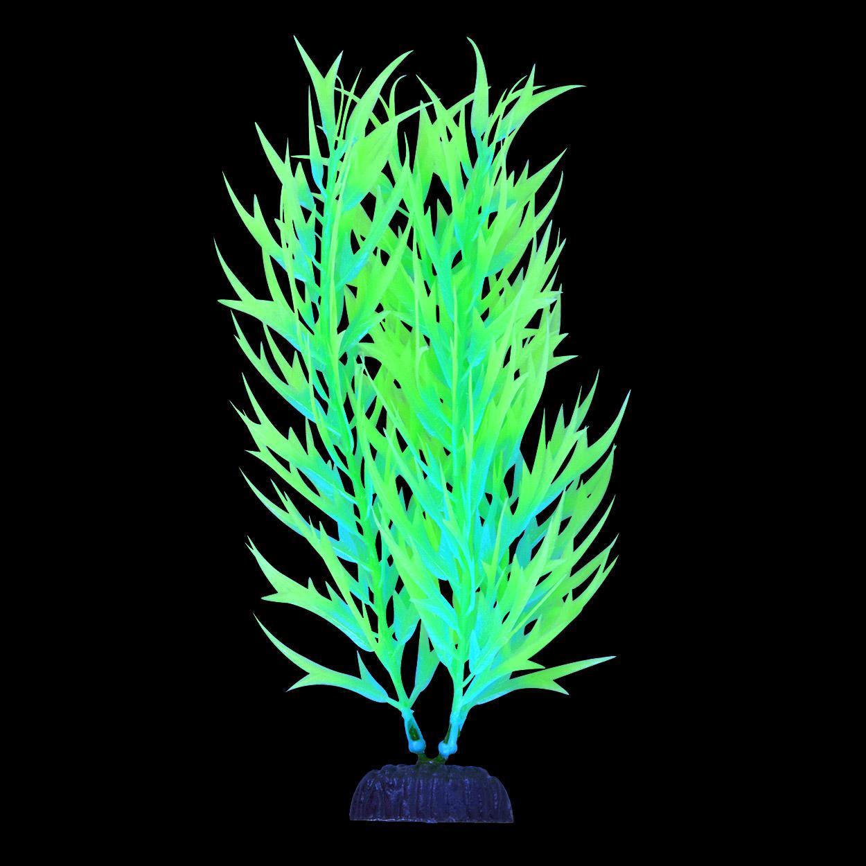UT Glow Bamboo Green