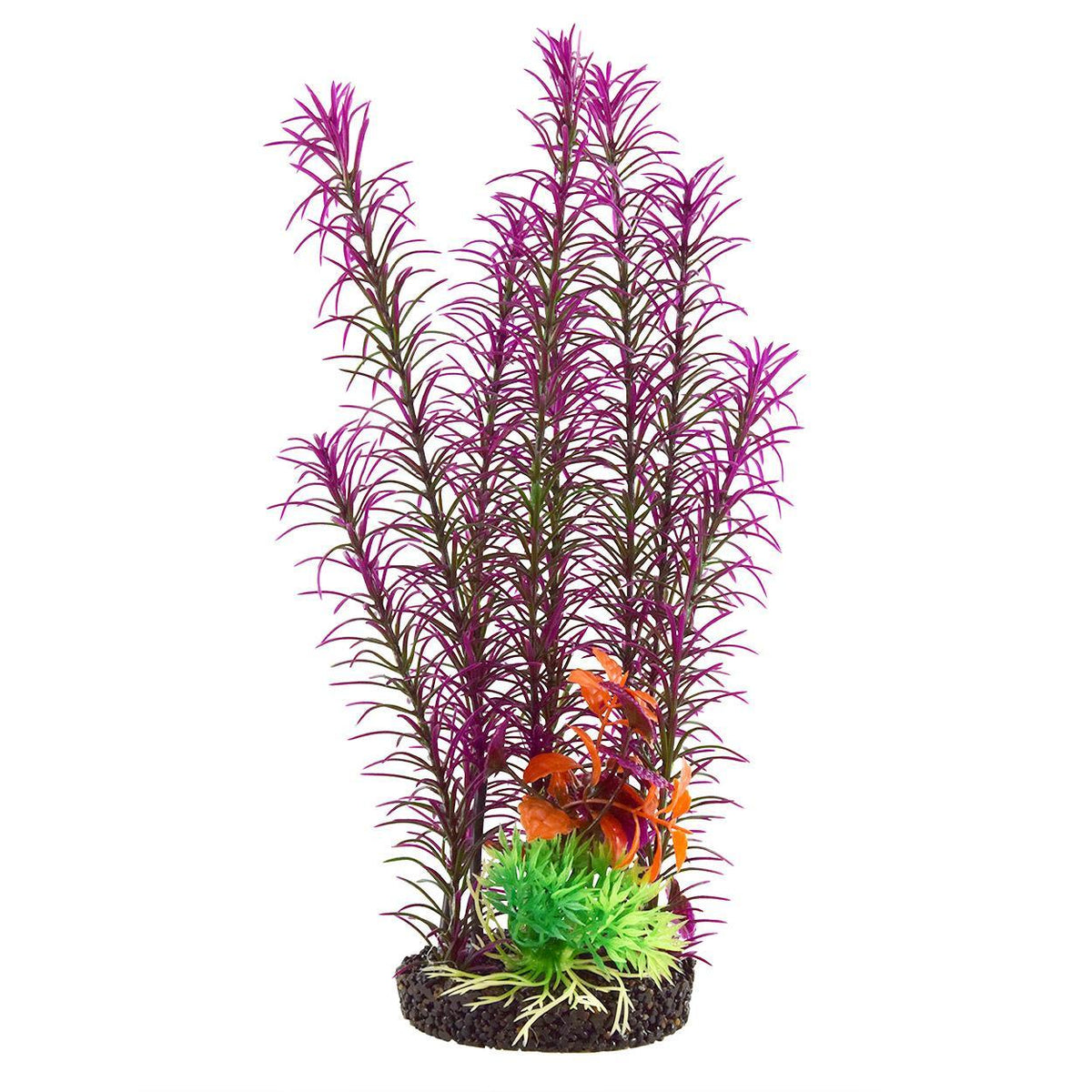 UT Mayaca Purple