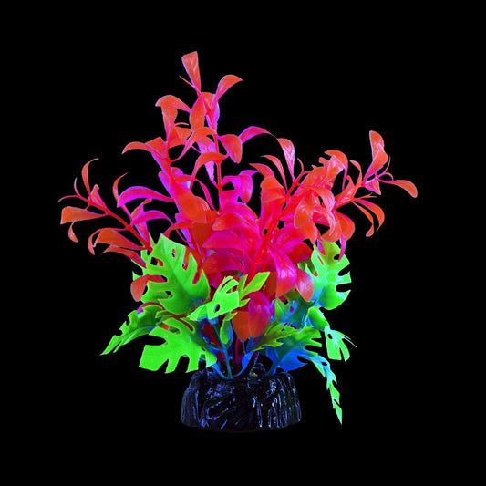 UT Glo Bacopa Pink Small
