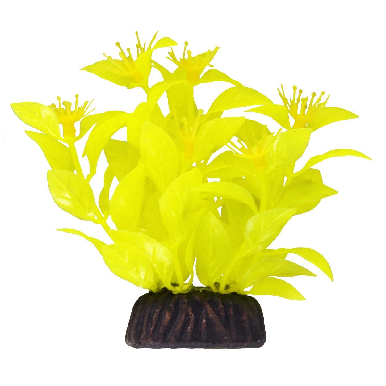 UT Ludwigia Yellow 3"