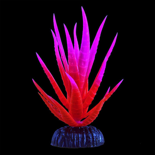 UT Glow Yucca Pink Small