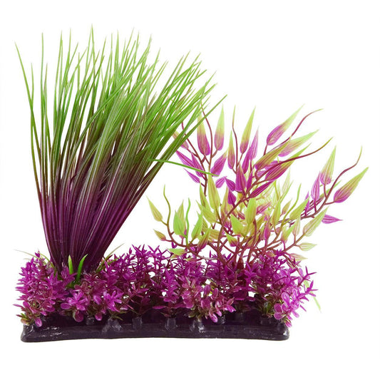 Hairgrass Garden Mix