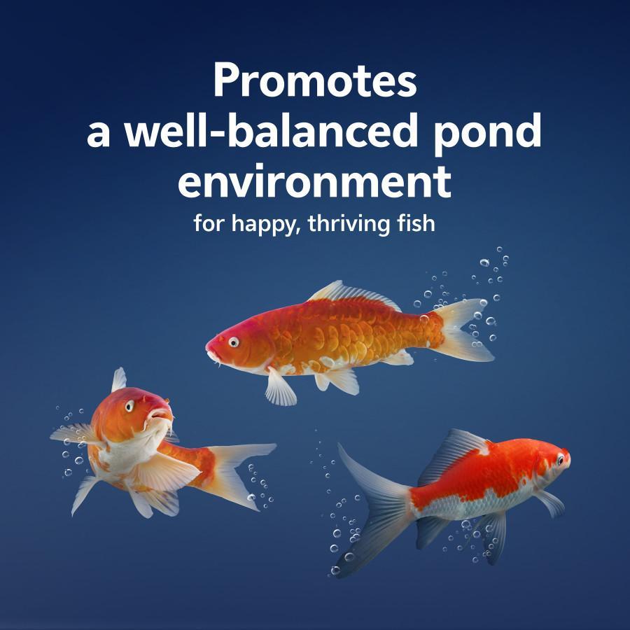 Aqueon Pure Pond Bomb
