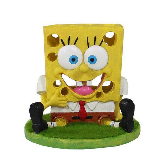 Sponge Bob Aqua Flores
