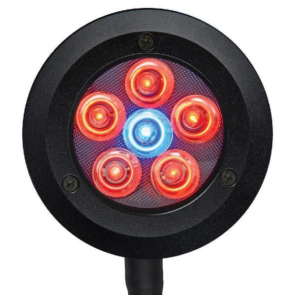 ReefBreeders Pico LED (Refugium)