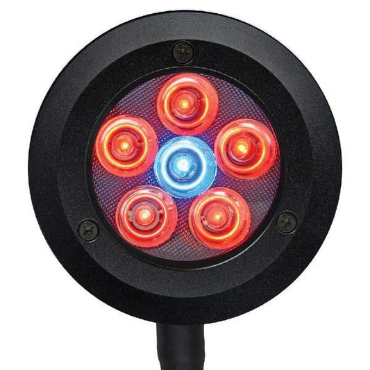 ReefBreeders Pico LED (Refugium)
