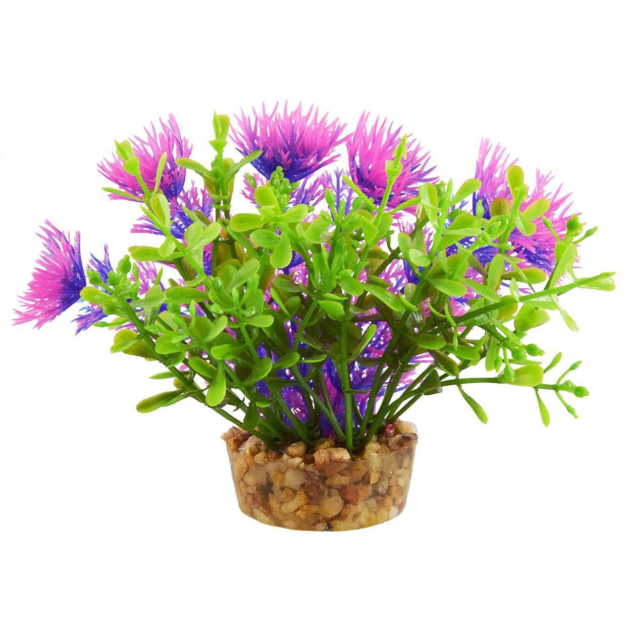 UT Bacomba - Purple - 4"