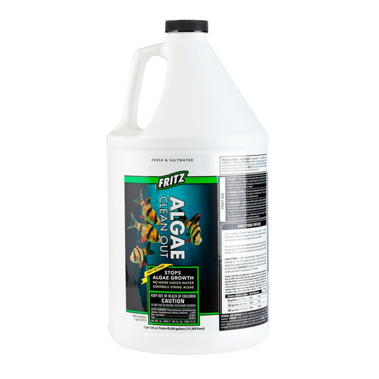 Algae Clean Out 1 gallon