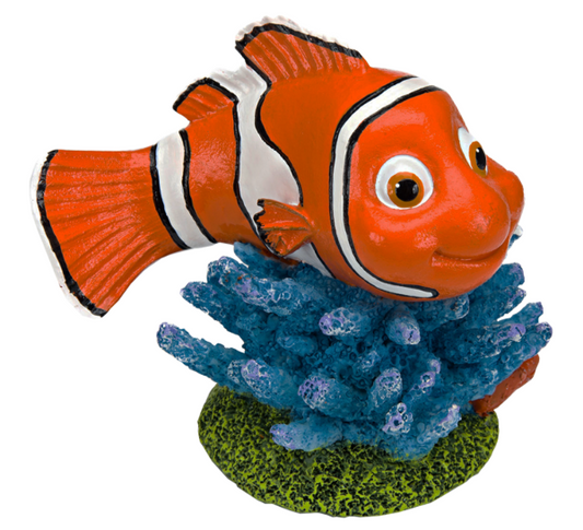 Nemo On Coral Medium