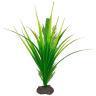 Fluval Betta Yellow Parrot Plant - 20 cm (8 in)