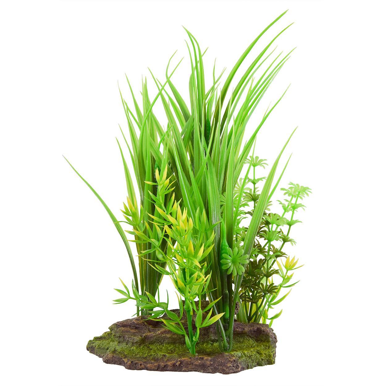 UT Hairgrass Trio
