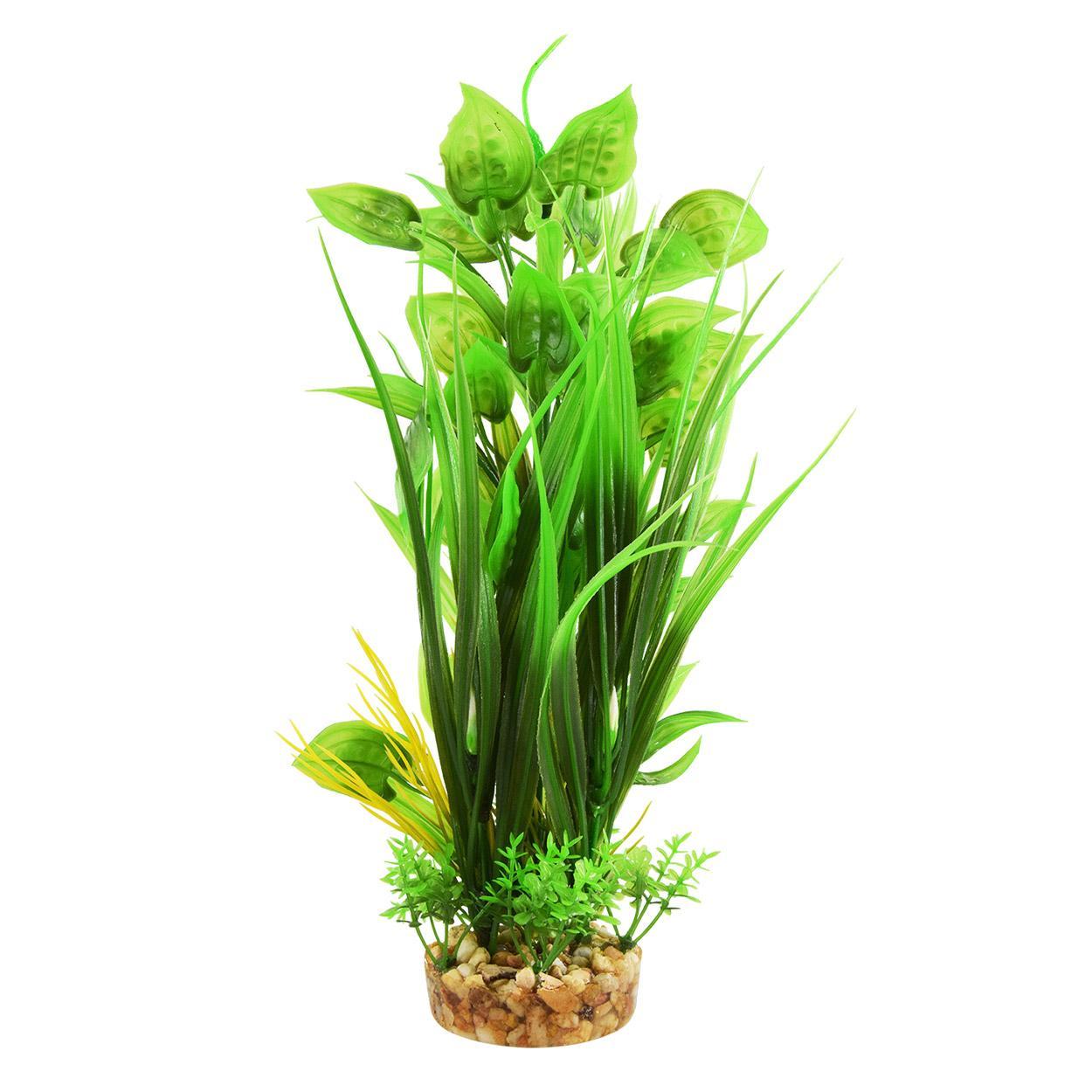 UT Grassy Ludwiga - 12"