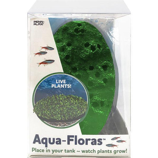 Moss Patch Aquafloras