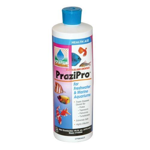 Prazipro 16oz