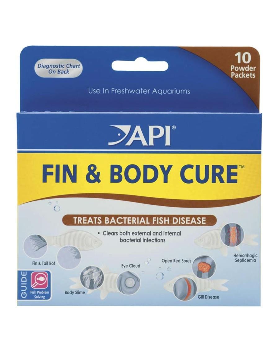 API Fin & Body Cure