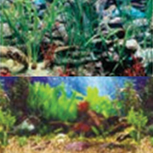 Tropical Blue/Shalescape 24x48"