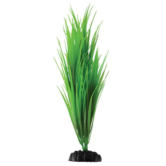 Green Nile Grass 11.5"