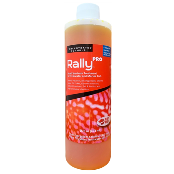 Ruby Reef Pro Rally 16oz