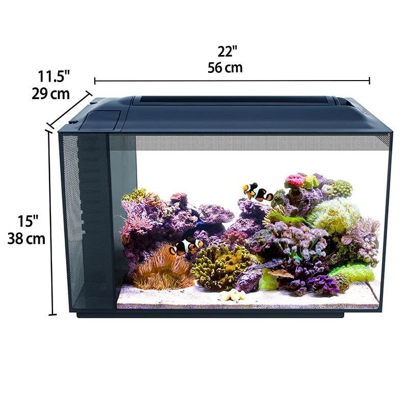Fluval Evo 13.5g Aquarium Kit