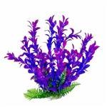 Aquatop Hygro Purple Plant 12"