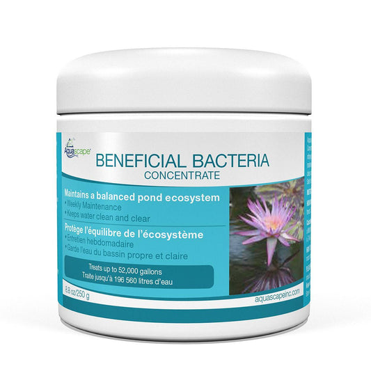 Aquascape Pond Beneficial Bacteria Concentrate 250 g