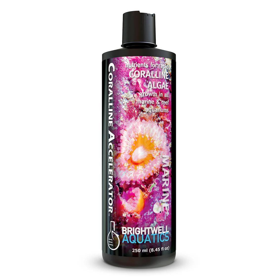 Brightwell Coralline Accelerator 250ml