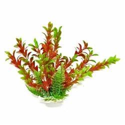 Hygro-Like 20" Aquarium Plant PD-BH15 w/ Weighted Base