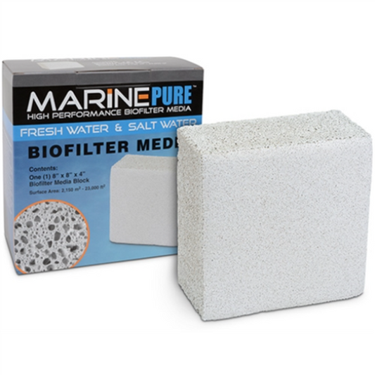 Marine Pure 8×8×4" Block