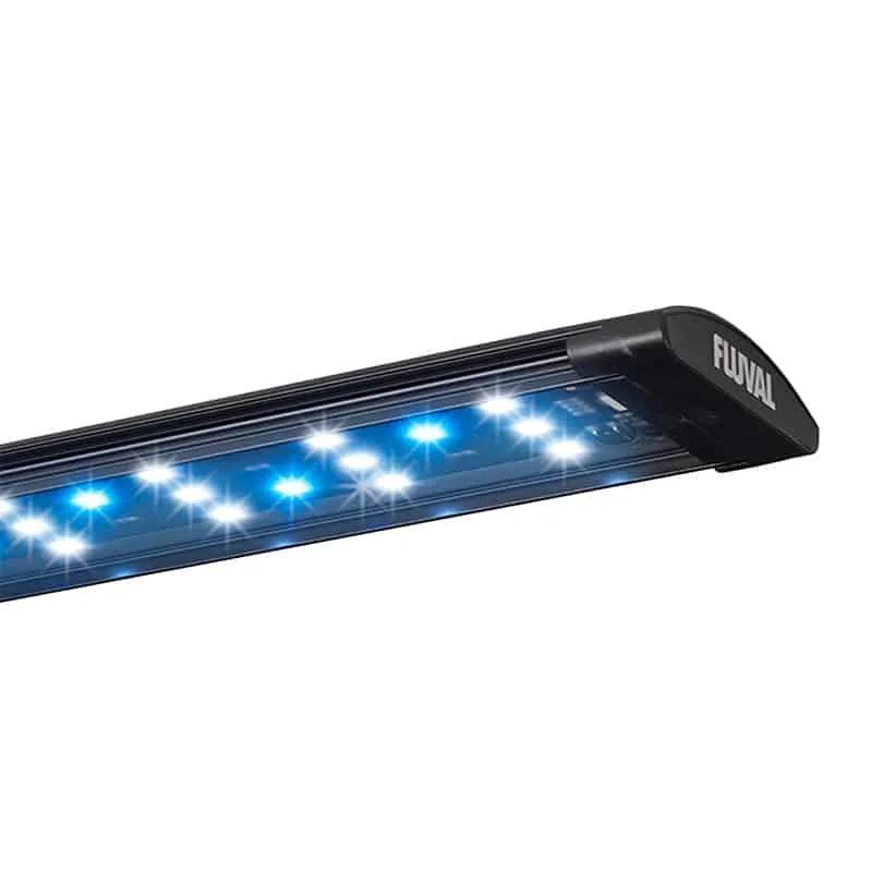 Fluval Evo 13.5g Aquarium Kit
