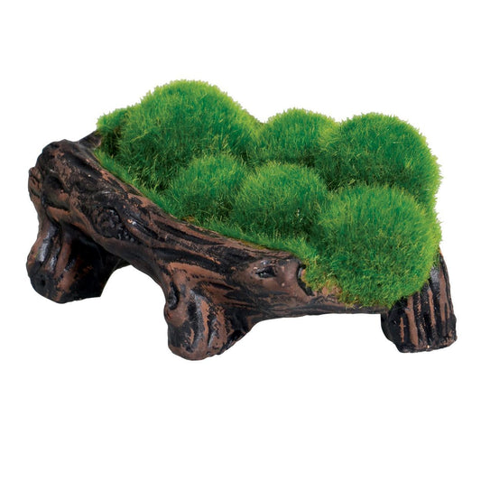 Mossy Log Cave W Airstone