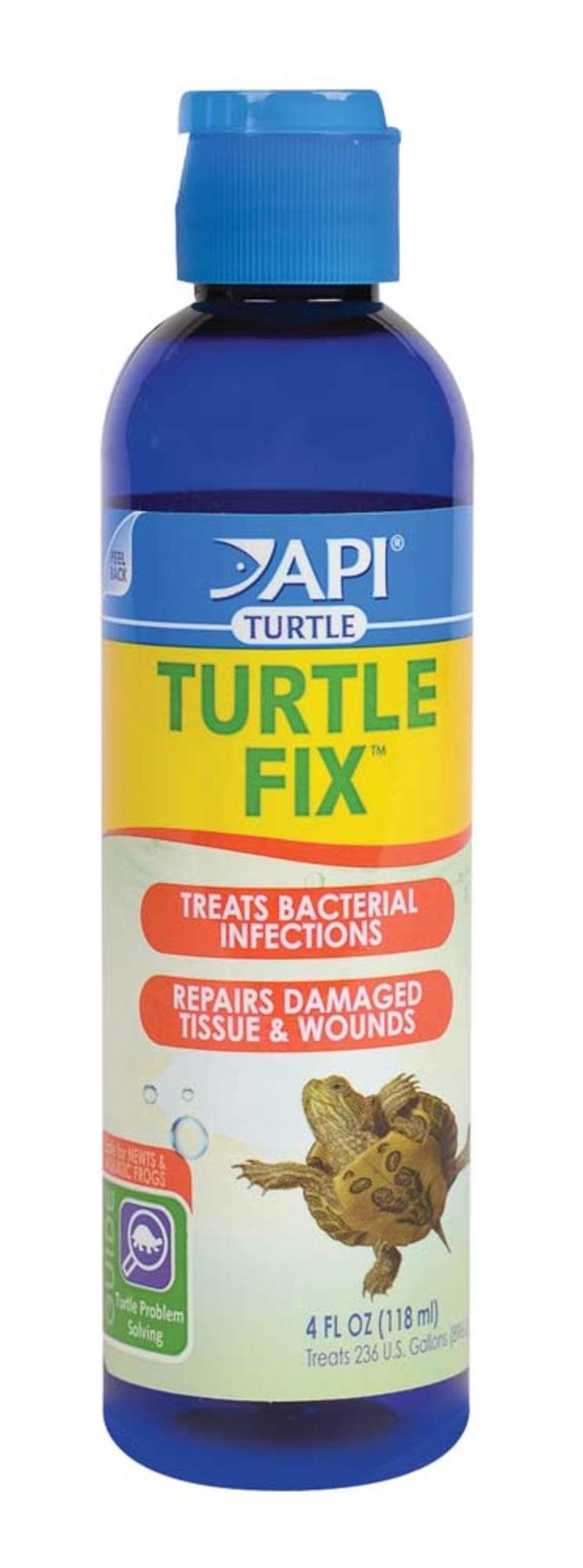 API Turtle Fix