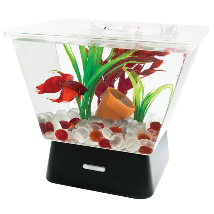 1g Tetra LED Betta Tank