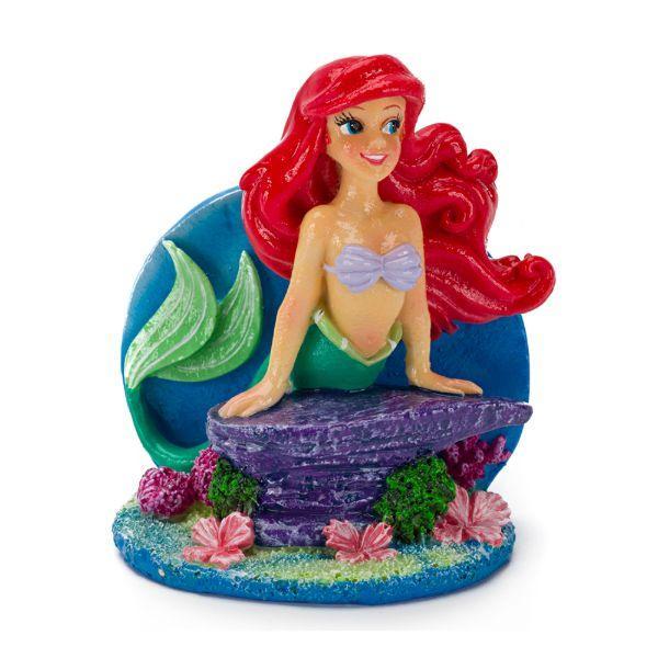 Ariel On Rock