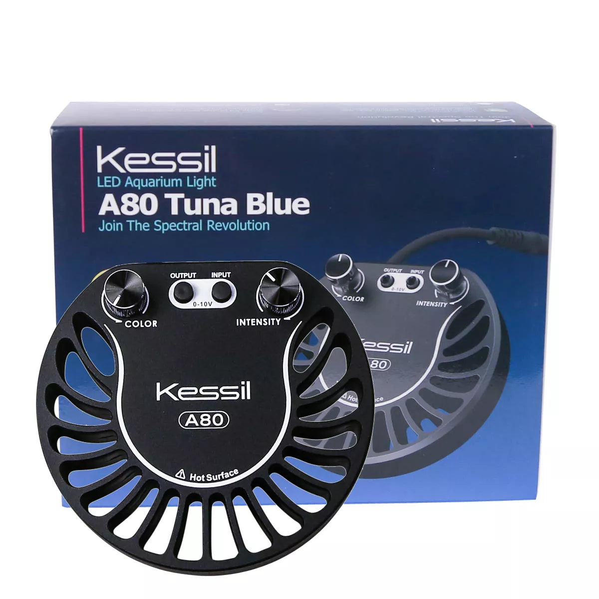 A80 Tuna Blue