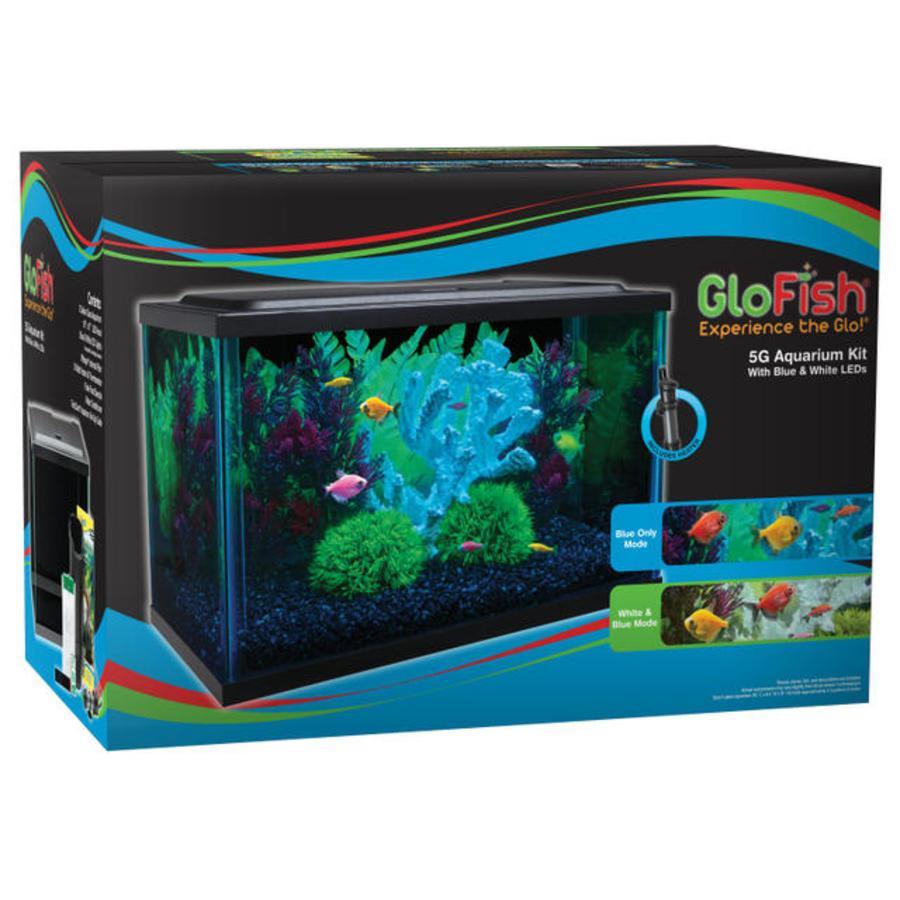 5g GloFish Kit Tetra