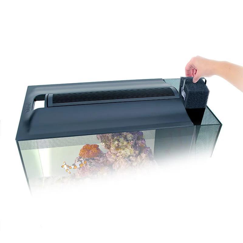 Fluval Evo 13.5g Aquarium Kit