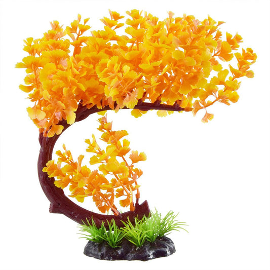 Orange Bonsai