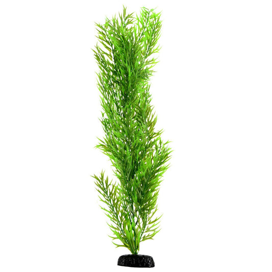 Green Bamboo 24"