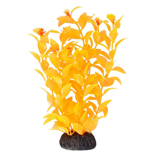 UT Ludwigia Orange 8"