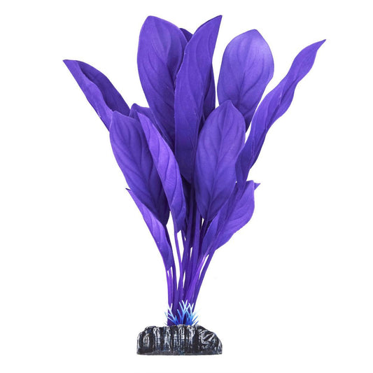 UT Anubias - Purple