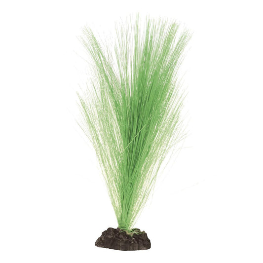 Silk Hairgrass Green
