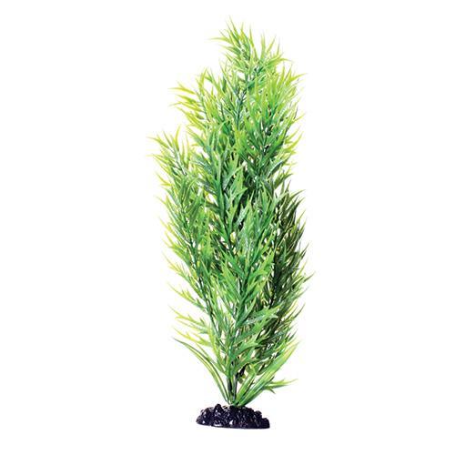Green Bamboo - 16"