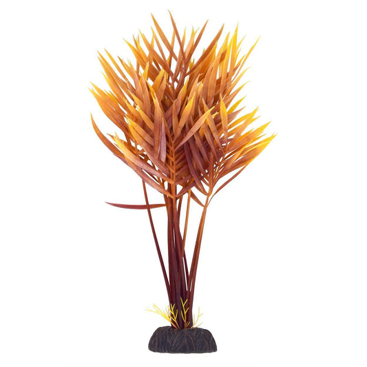 UT Fern - Orange